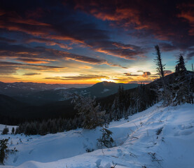 Amazing panoramic landscape in the winter mountains at sunrise . Dramatic morning sky. View of snow-covered trees and hills at distance.