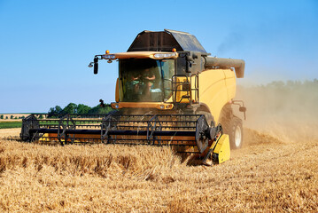 Combine harvester harvesting golden wheat field, harvester working in an agricultural field, harvest season