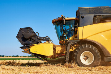 Fototapeta premium Combine harvester harvesting golden wheat field, harvester working in an agricultural field, harvest season