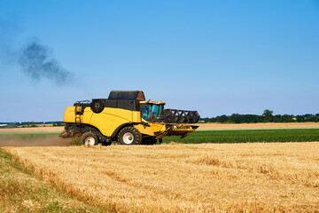 Combine harvester harvesting golden wheat field, harvester working in an agricultural field, harvest season