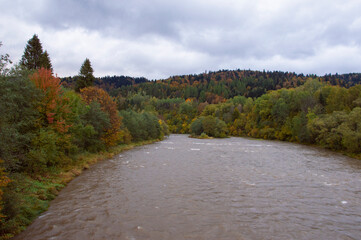 Rzeka w Bieszczadach w pochmurny jesienny dzień