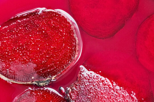 Background of slices of beet on fuchsia surface