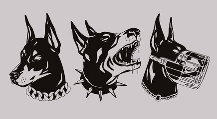 Portraits of a Doberman dog. Set of three various heads. Dog with spiked and chain collar, dog with muzzle. Calm and Barking doberman. Hand drawn Vector illustration. Print, dog training logo template