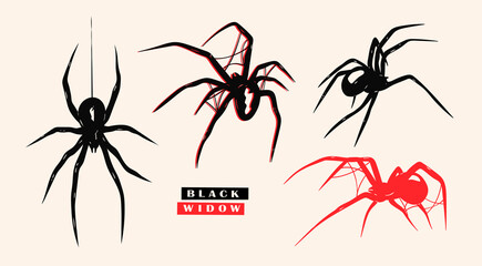 Black Widow spider set. Various positions. Every spider is isolated. Deadly venomous spiders. Hand drawn Vector illustration. Logo, icon, tattoo idea, halloween decoration, design elements template