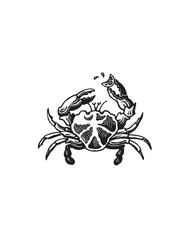 illustration of crab