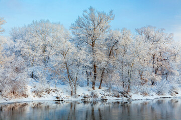 Beautiful view of the winter river and fishermen's bridges. Trees against the background of the morning blue sky. Snow-covered trees on the river bank are reflected in the water after snowfall.