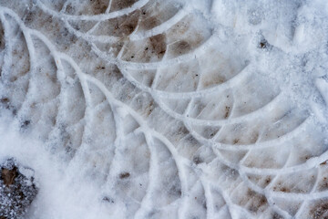 Winter transport concept background. Texture of a snowy road with traces  car tires.