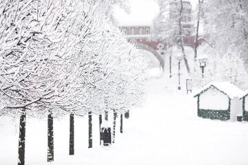 Winter landscape. Tsaritsyno Park on a snowy day. Trees in the snow. There are snowdrifts all around.