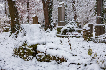 first snow on old grave yard haunted and decaying