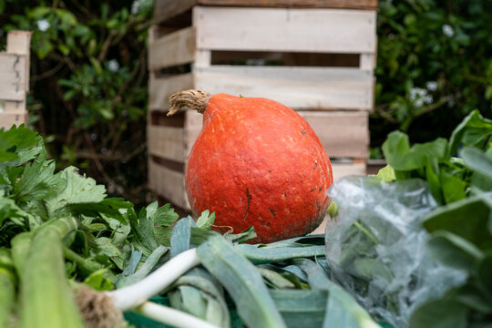 Vue d'un beau potimarron sur un &eacute;talage de march&eacute;, avec au premier plan des l&eacute;gumes verts et des cagettes en arri&egrave;re-plan
