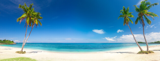 panorama of tropical beach with coconut palm trees - 553286909