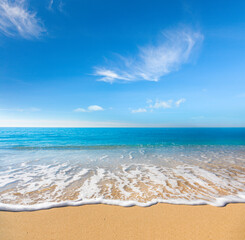 sandy beach and tropical sea