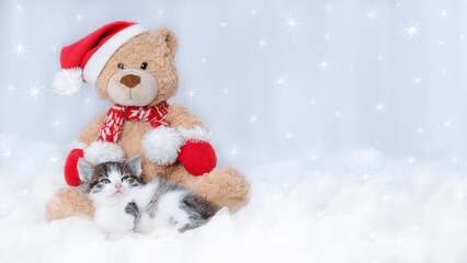 Smal kitten is napping next to a toy teddy bear in a Santa Claus hat. Tiny Kitten on a light background.  2023. Baby cat. New Year's card with a little Kitten. Happy New Year. Winter. Merry Christmas