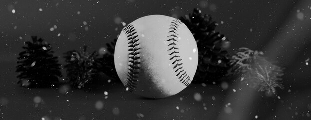 Winter season baseball banner for Christmas in black and white with snow.