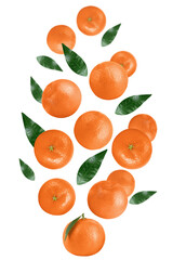 Levitation of tangerines and leaves isolated on a transparent background.