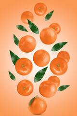 Levitation of tangerines on orange background.