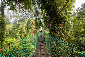 Unidentified people at Suspension bridge at treetop canopy walkway in Danum Valley primary jungle...
