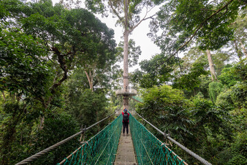 Unidentified people at Suspension bridge at treetop canopy walkway in Danum Valley primary jungle Lahad Datu Sabah Borneo Malaysia