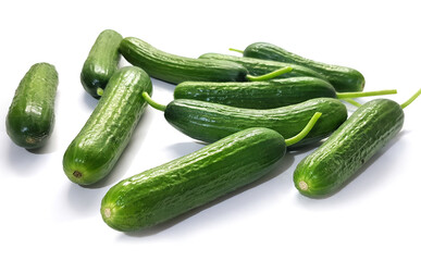 Fresh farm cucumbers. Group of green ripe vegetables with natural shadow on a white background