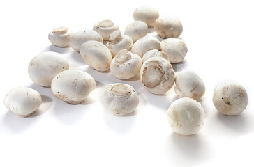 White raw whole champignons. Cultivated edible mushrooms. Objects with natural shadow on a white background