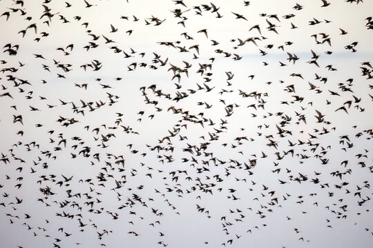 &Acirc;&copy;Eleni Saitanidi 2022.https://www.instagram.com/elenisaitanidi/