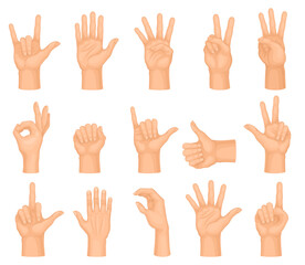 Human Hands Showing Different Gestures Big Vector Set