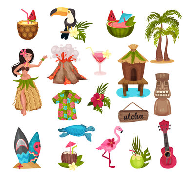 Hawaiian Aloha Symbols and Exotic Island Attribute Big Vector Set
