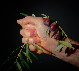A hand extracting oil from olives