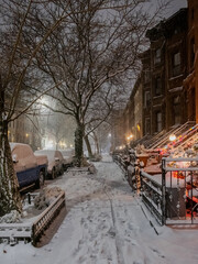 Snow in Brooklyn