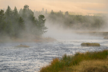 Steamy river at sunrise at Yellowstone National Park
