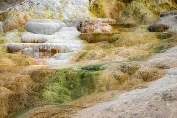 Colorful Mound Terrace at Mammoth Hot Springs in Yellowstone National Park