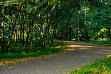 Walking path in the park.