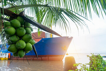 Cargo ship carrying merchandise through the Caribbean sea, coconuts is in the foreground
