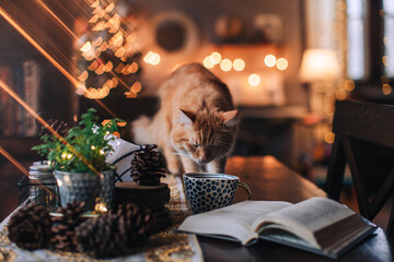 book, cup and yellow cat on a dark table with glittering lights background - Powered by Adobe