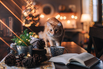 book, cup and yellow cat on a dark table with glittering lights background - Powered by Adobe