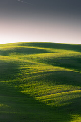 Beautiful green hills in the countryside of Tuscany,  Italy