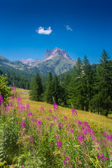 Beautiful mountain landscape of the valley in front of Mount Thabor, Alps,  France