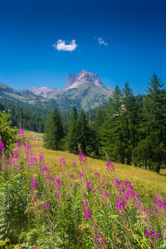 Beautiful mountain landscape of the valley in front of Mount Thabor, Alps,  France