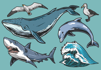 Marine wildlife colorful set emblems