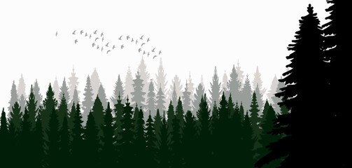 spruce forest, fir trees silhouette design vector isolated