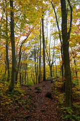 Wonderful and idyllic hiking trail in autumn