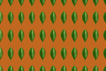 Fototapeta premium Creative seamless pattern of green leaves on orange background. Creative design in flat lay style. Top view. Mock-up.