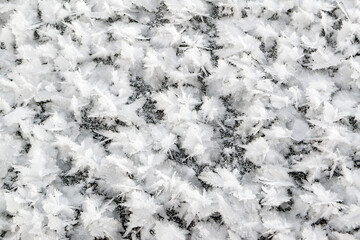 Ice surface on a river with white crystals of rime texture background close-up. Macro shot.