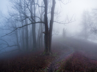 Fototapeta na wymiar Mountains foggy morning