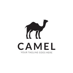 awesome camel logo design vector template.