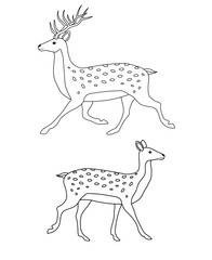 Vector two flat hand drawn outline deer isolated on white background