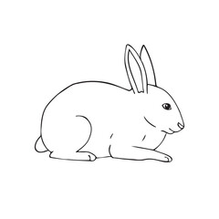 Vector hand drawn doodle sketch bunny rabbit isolated on white background