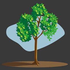 Naklejka na ściany i meble tree vector illustration