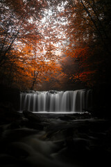 waterfall in autumn