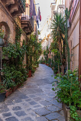 Fototapeta na wymiar Small street with flowers in the Old City of Syracuse in Sicily, Italy